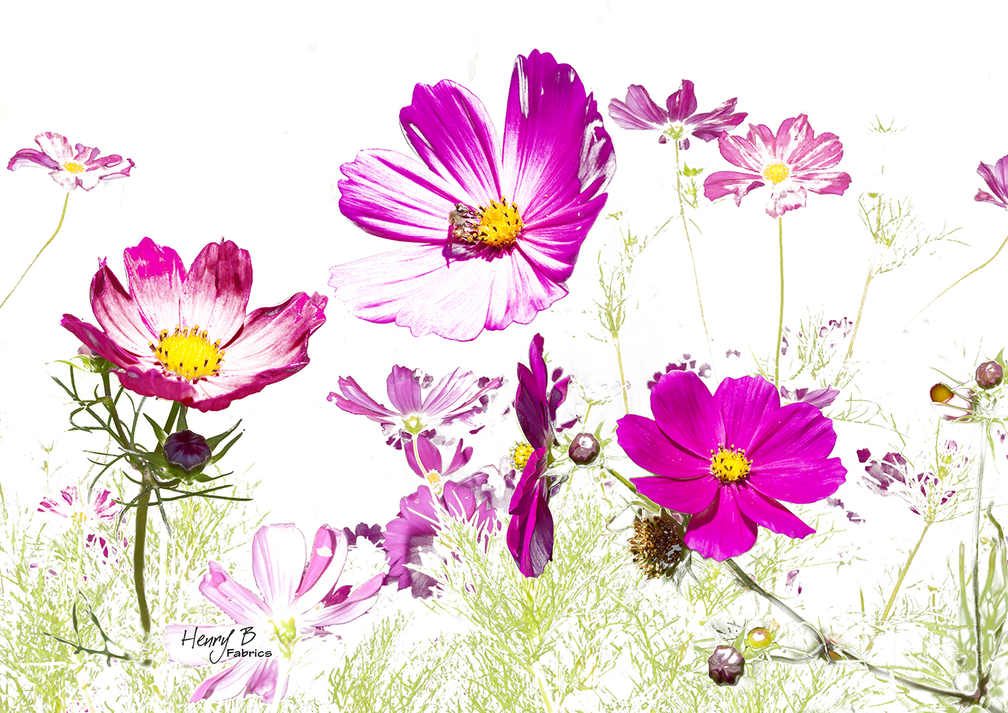 cosmos-flower-placemat-10